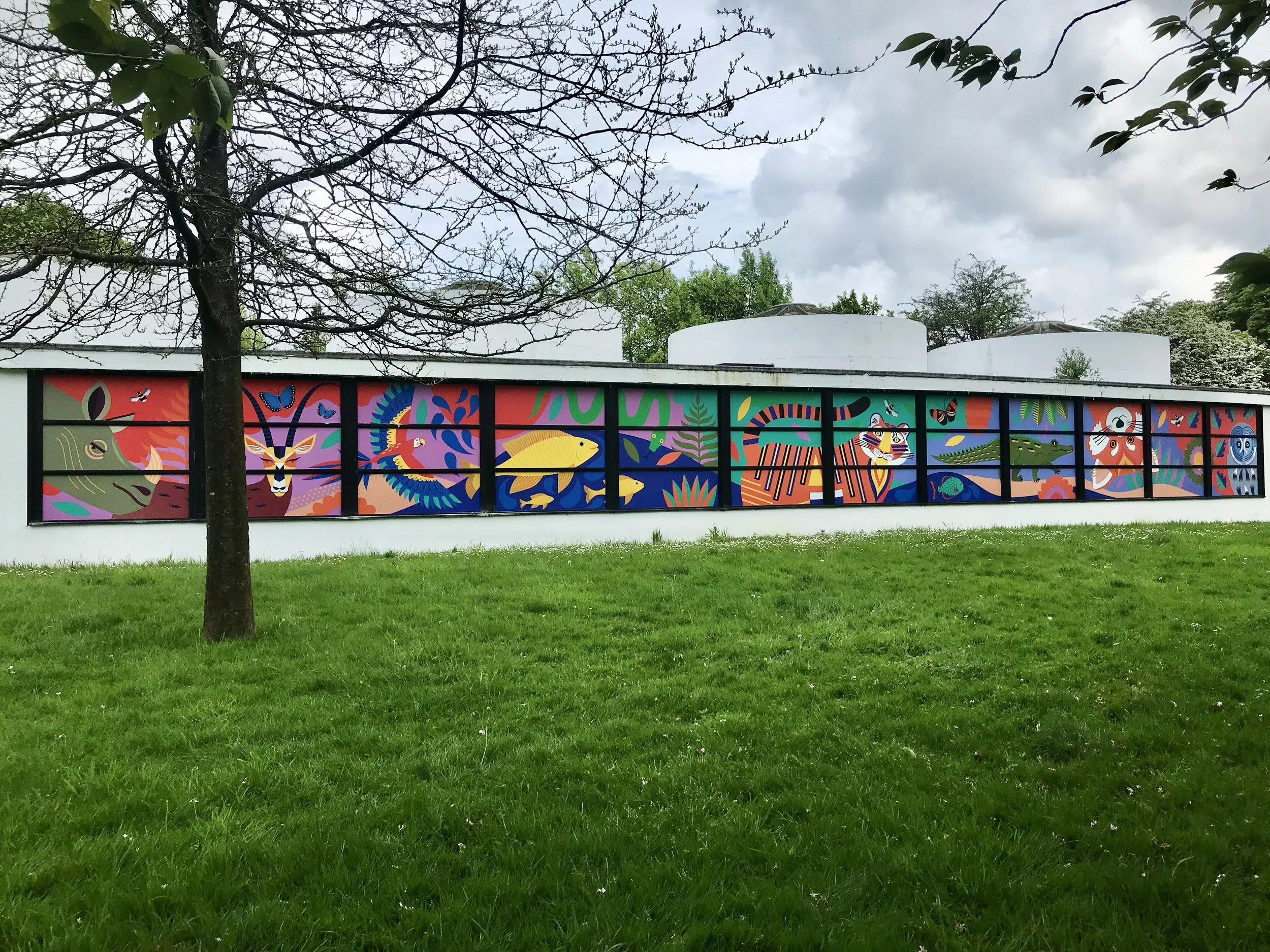 1 Whipsnade zoo window 2024.jpg