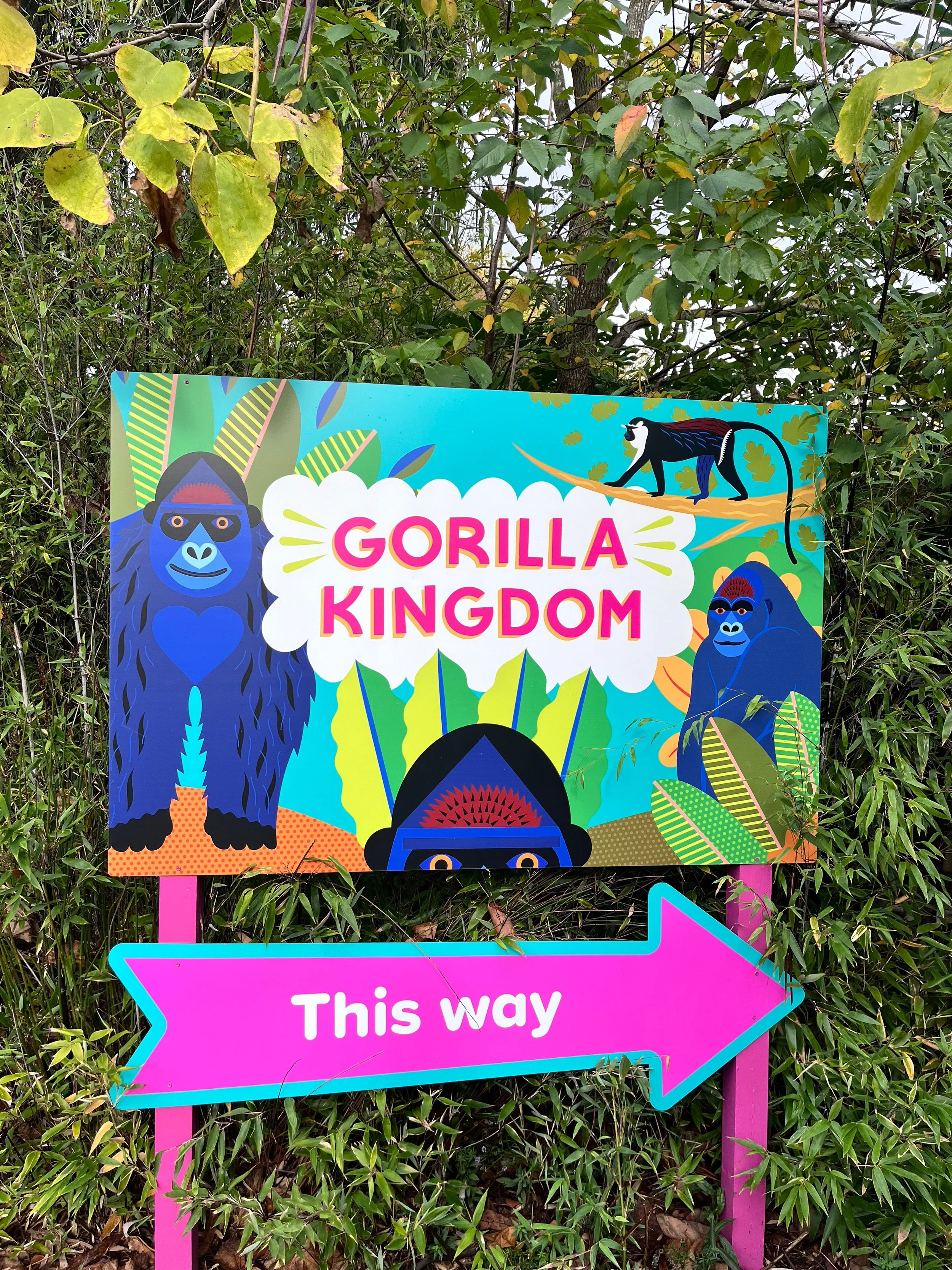 ZSL Gorilla Kingdom.jpg
