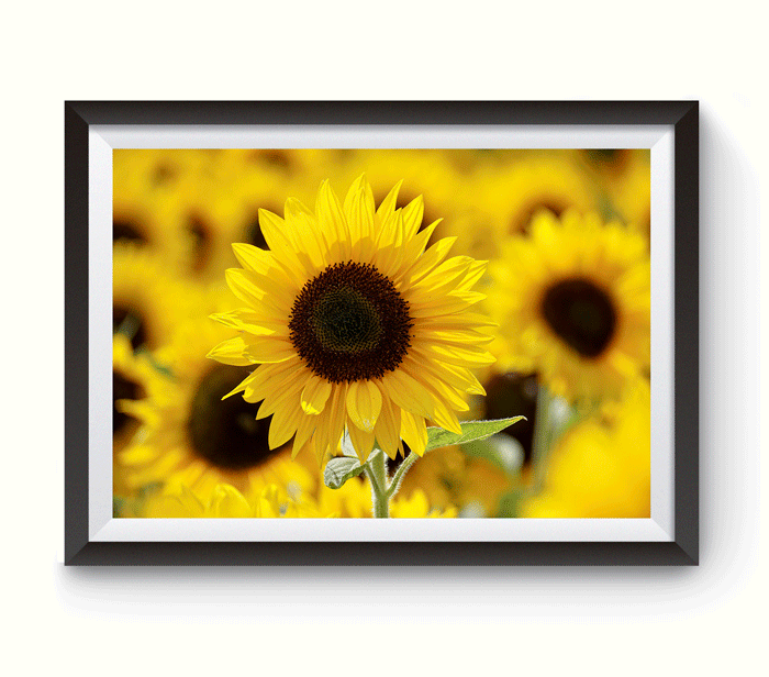 a pocket of joy, a painter of fun, shining brightly like the sun.
a wink here, a giggle there, and a laugh that brought up the air.
but simply reminiscing. and there she went missing-
her broken pretty heart.