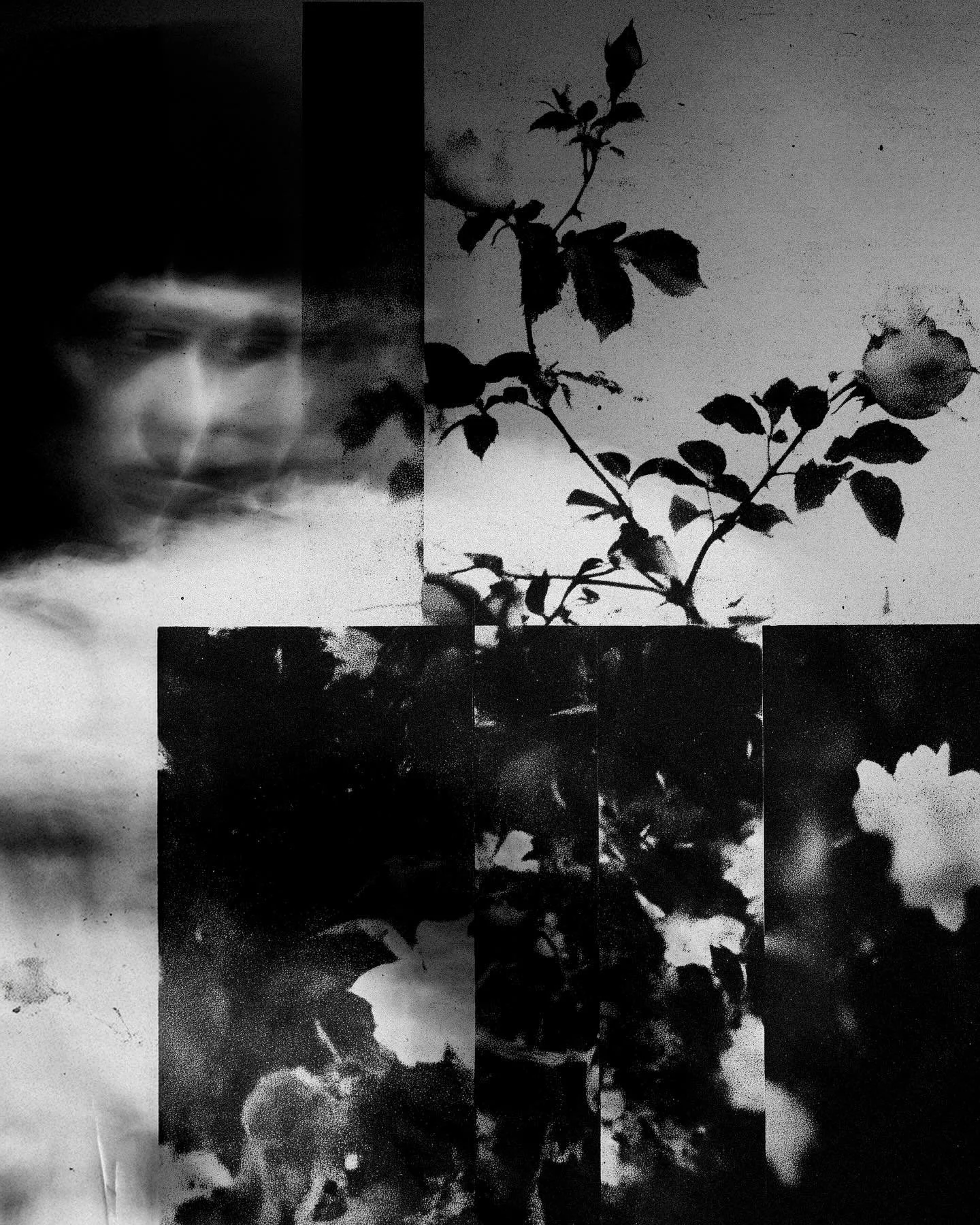 winter in the garden in my mind
this was probably the most magical show i&rsquo;ve ever experienced. 
so incredibly grateful to the @tobincentersa for allowing me to capture this ✨
and for having my beautiful wife @stephanieestokes by my side for thi