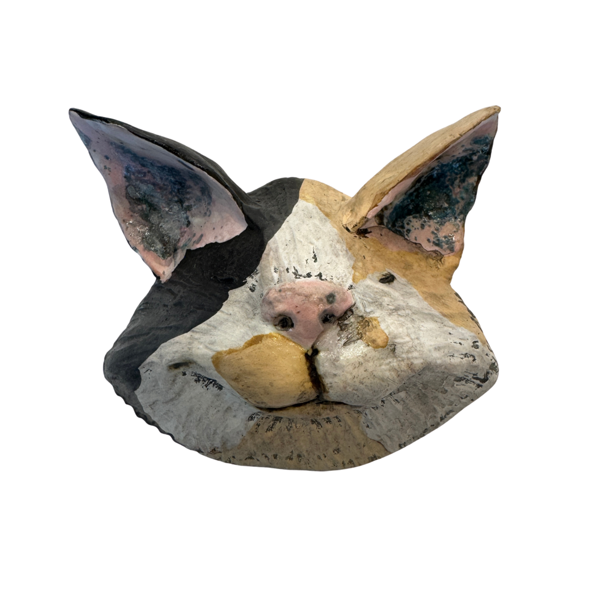 file20260603-16-ojh23h.png