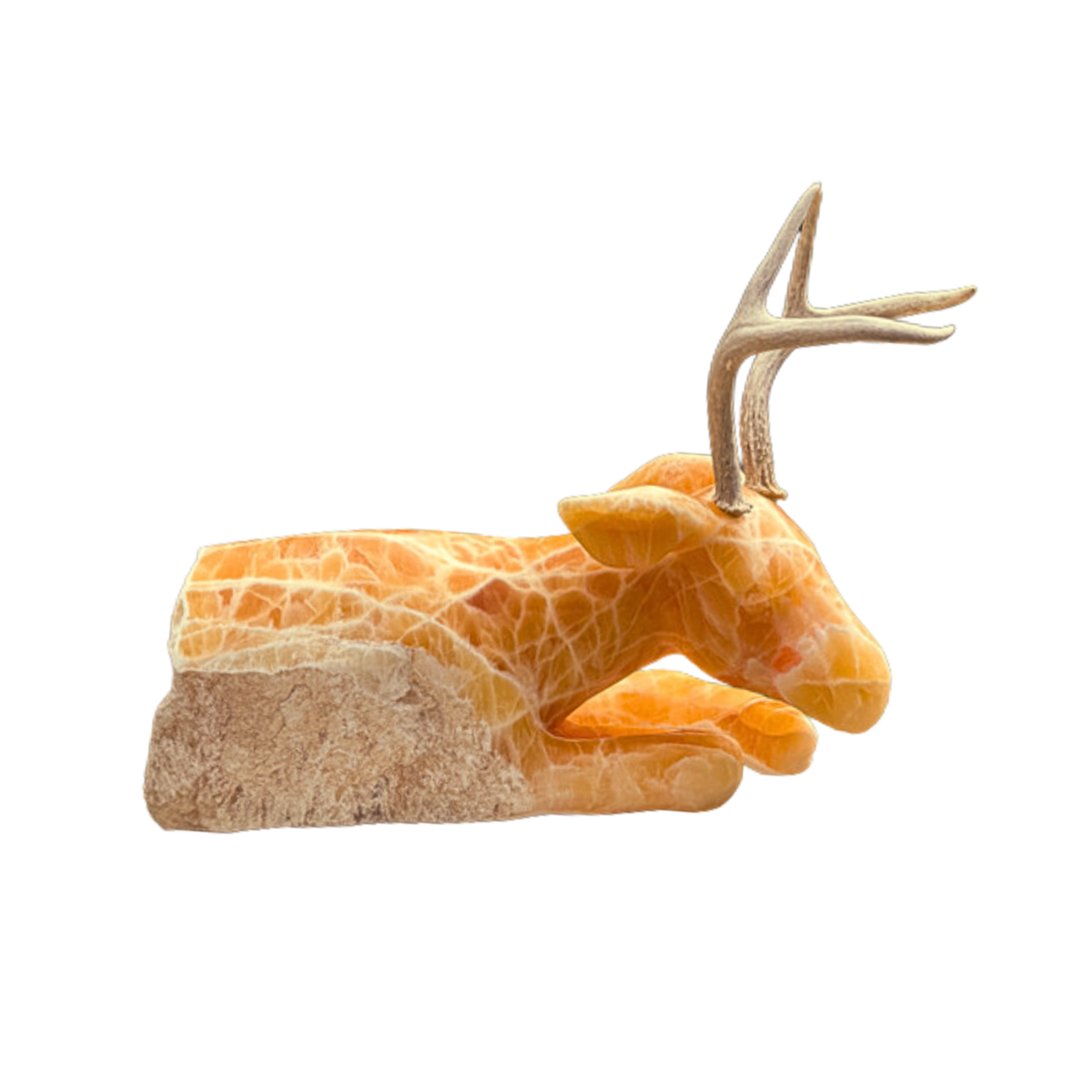 file20260805-18-zs8es3.png