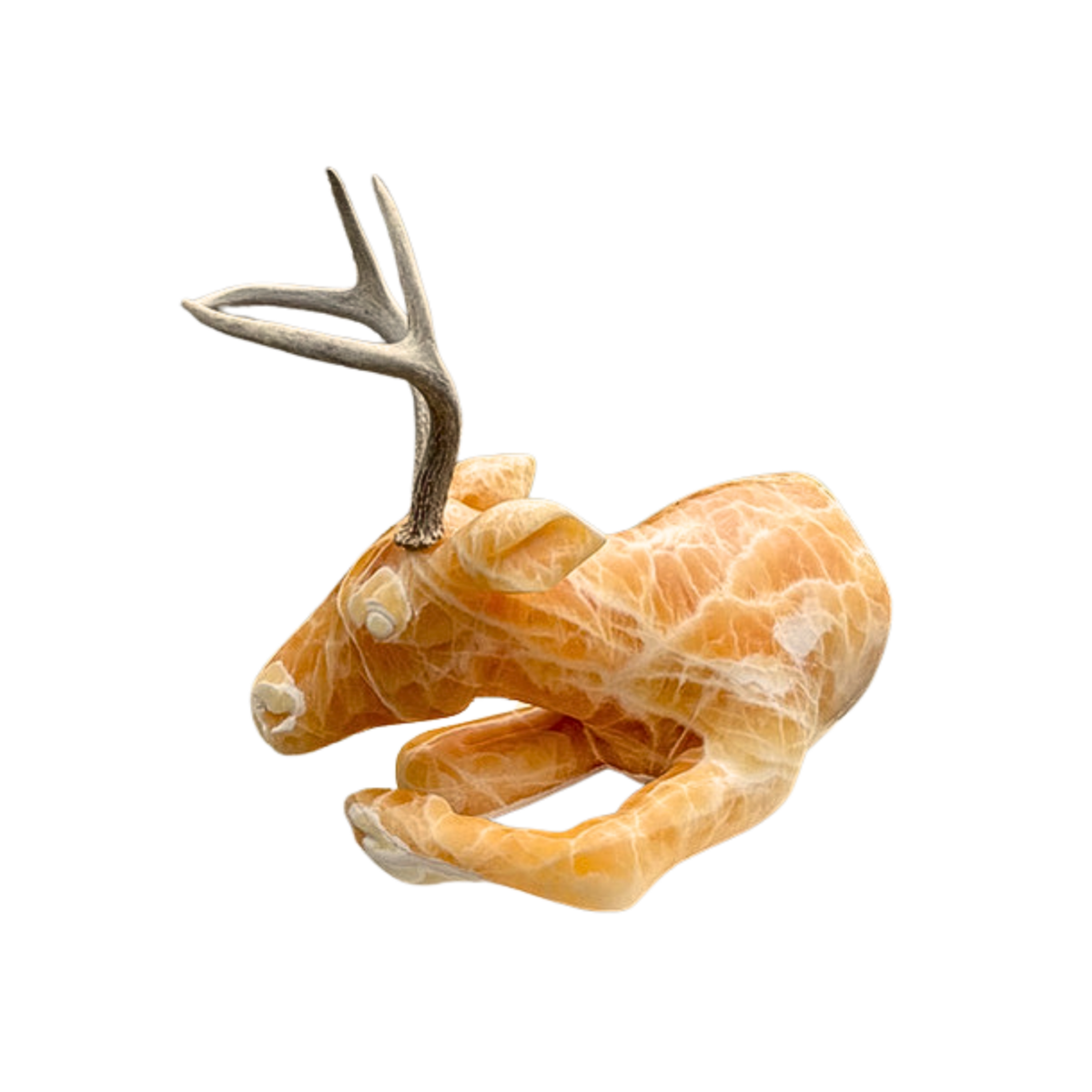 file20260805-18-saqmuo.png