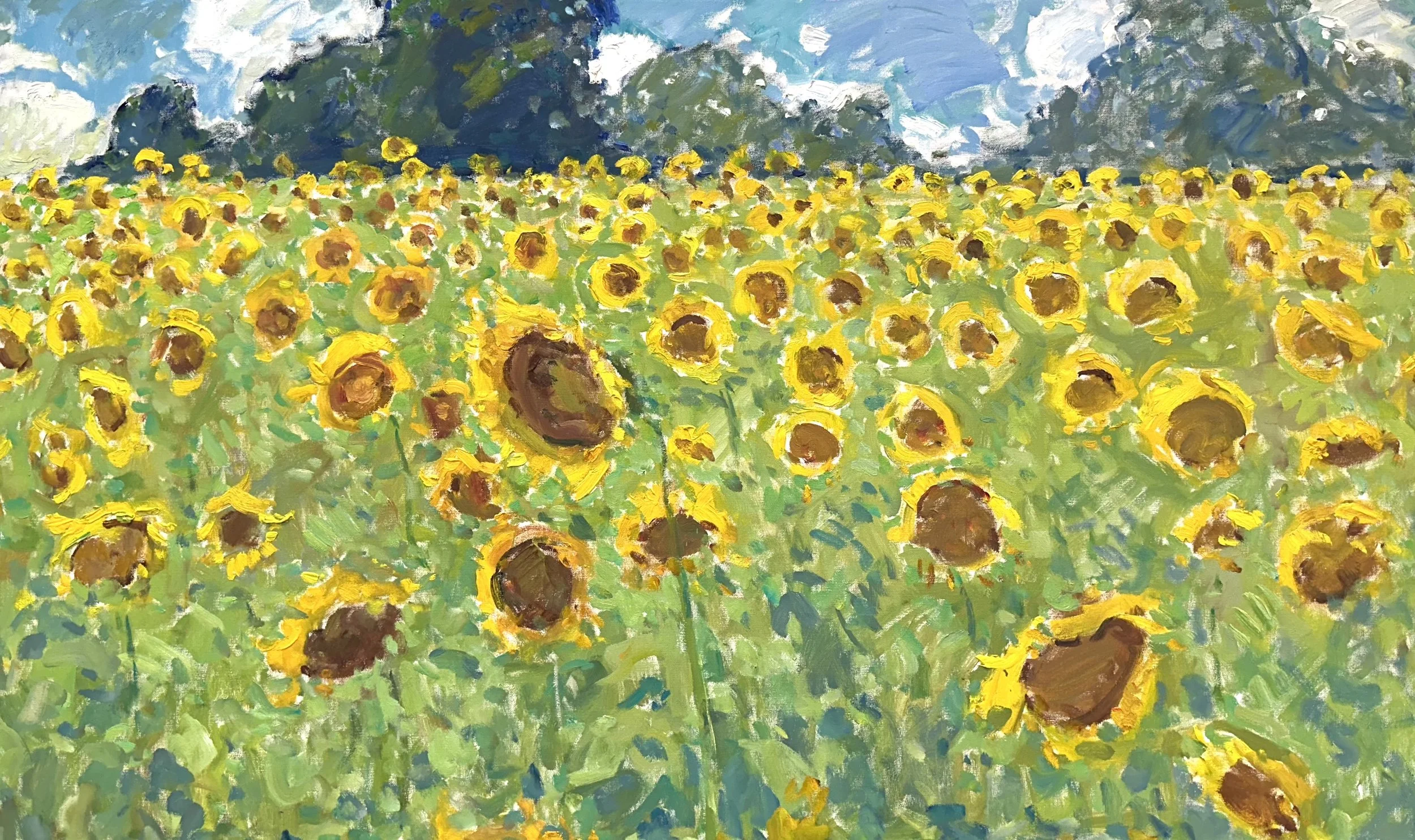 Golden fields of Sunflowers_36x60_oil_$15,000.jpeg