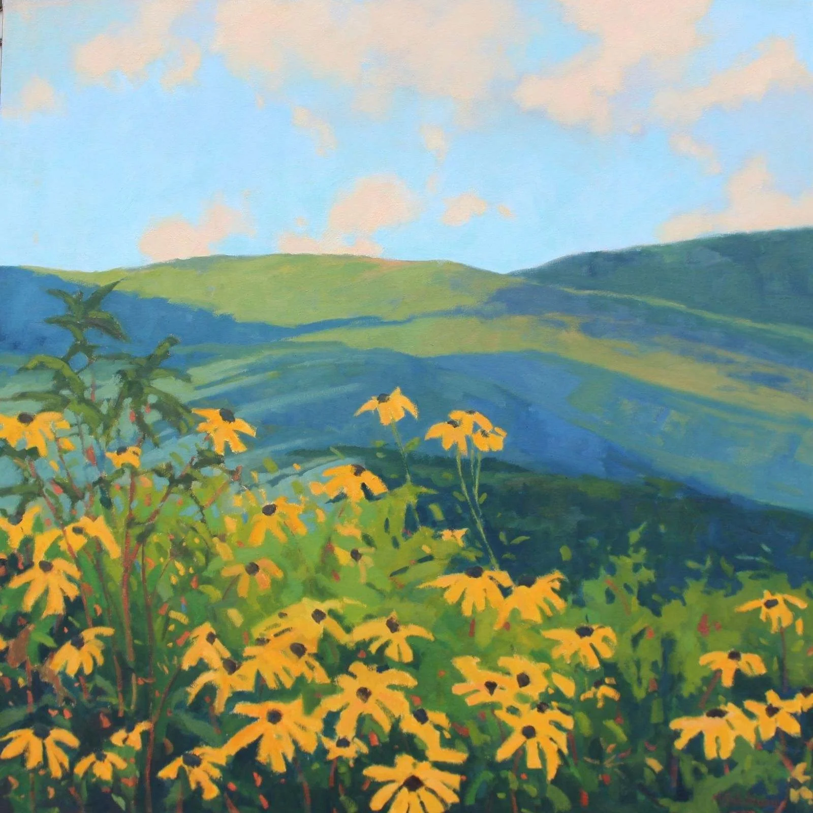 View to Roan on Appalachian Trail — Art Cellar Gallery Banner Elk, NC