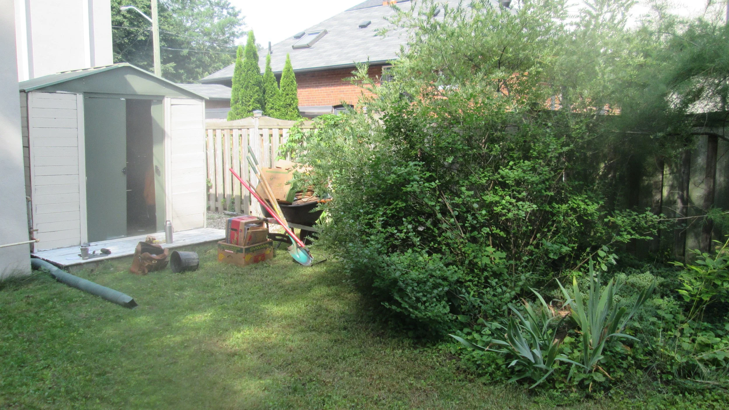 Before: note the shed..