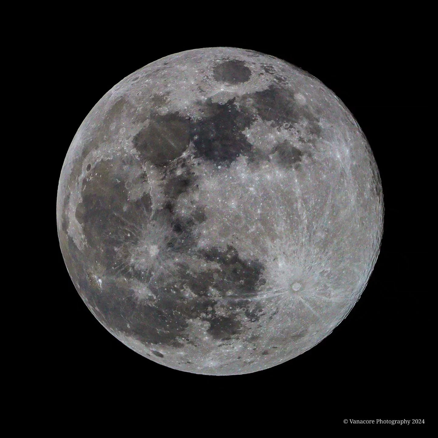 Tonight's Beaver Moon.
The last supermoon of the 2024. Over Oviedo, Florida. 
#florida #oviedoflorida #riversideattwinrivers #moon #fullmoon #beavermoon #supermoon #canonphotography #canon_usa #canon #sigma150600c #sigmalenses #godcreation #glorytogo