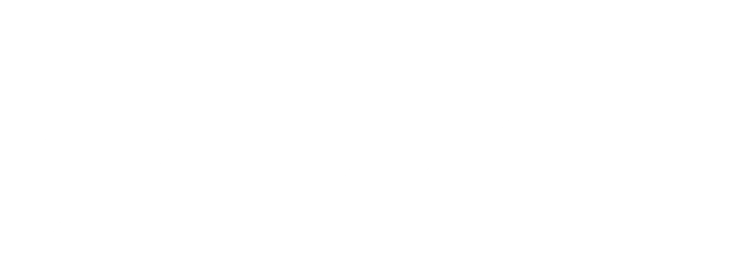 Icosian Capital