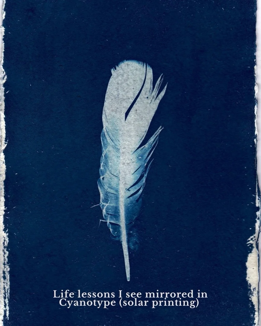 The deep Prussian Blue hues produced by Cyanotype symbolizes themes of intuition, depth, expression, and transformation 🦋

Cyanotype is a cameraless photographic process that uses photosensitive iron salts to create prints with a vibrant and distinc