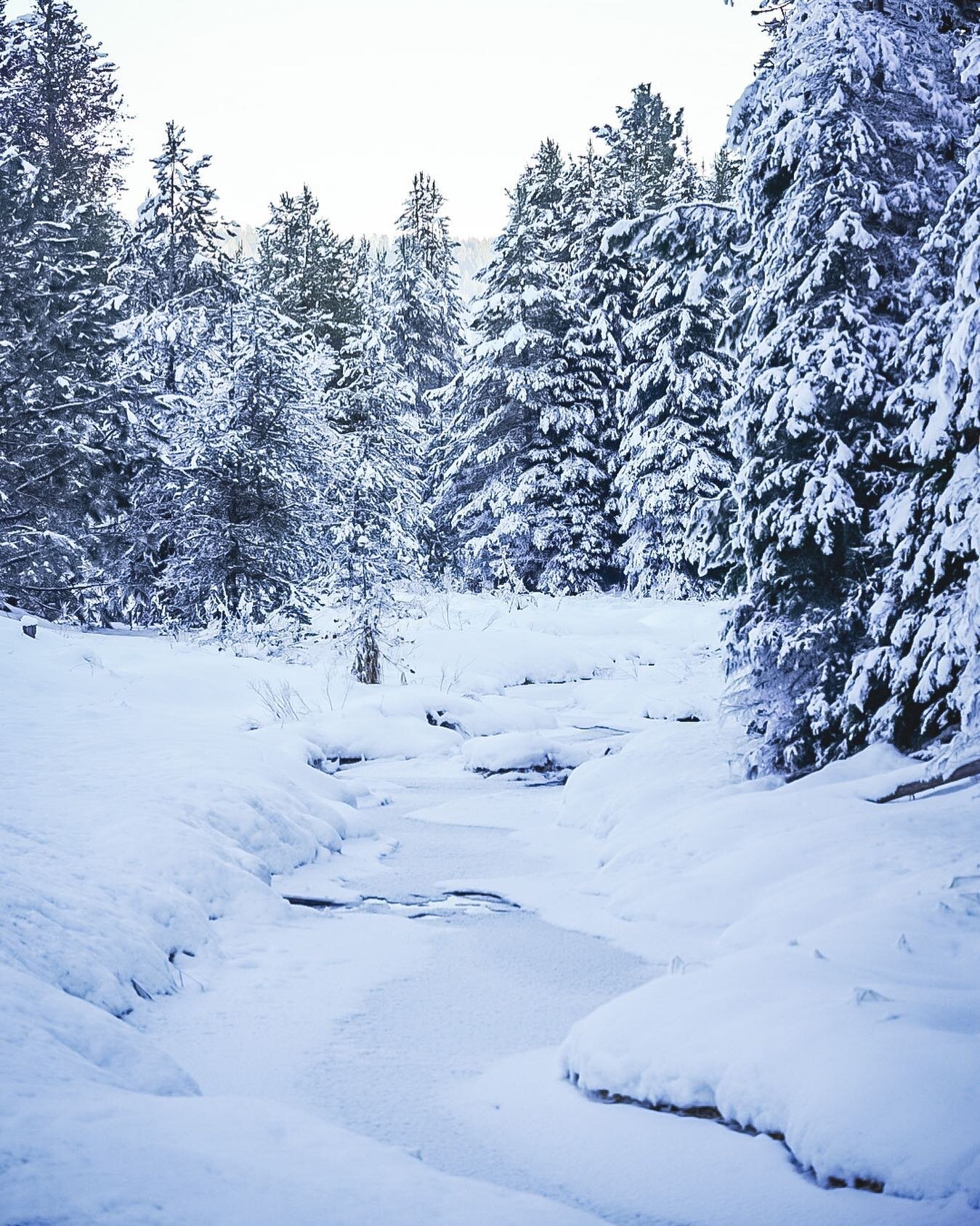 It&rsquo;s beginning to look a lot like (insert your favorite winter sport/activity) time!

Who&rsquo;s coming up to the McCall area soon and what are your plans?

#winterwonderland #idahowinter #snowsnowsnowsnow #getoutside #getoutsideidaho #pnwonde