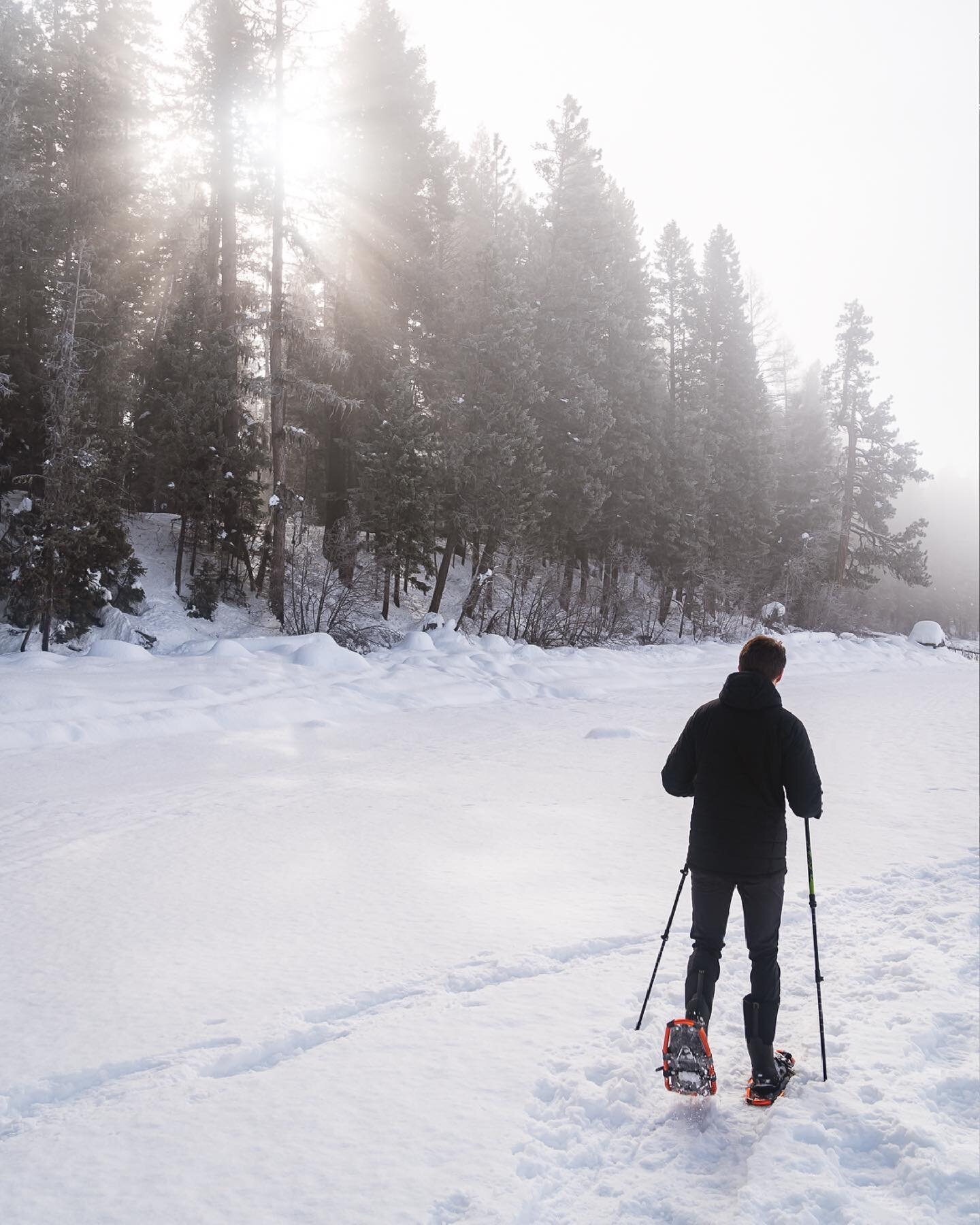❄️Enjoying your winter?❄️

It&rsquo;s not hard to get the most out of winter at Scandia Inn. Come on by the office when you book a room and we&rsquo;ll get you a few pairs of snowshoes for you and your friends to hit the trails and see all the beauty