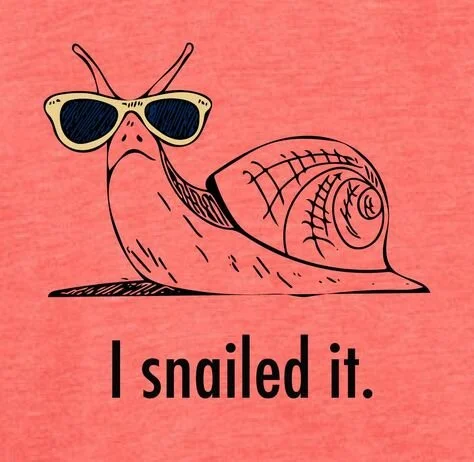 snailed it.jpg