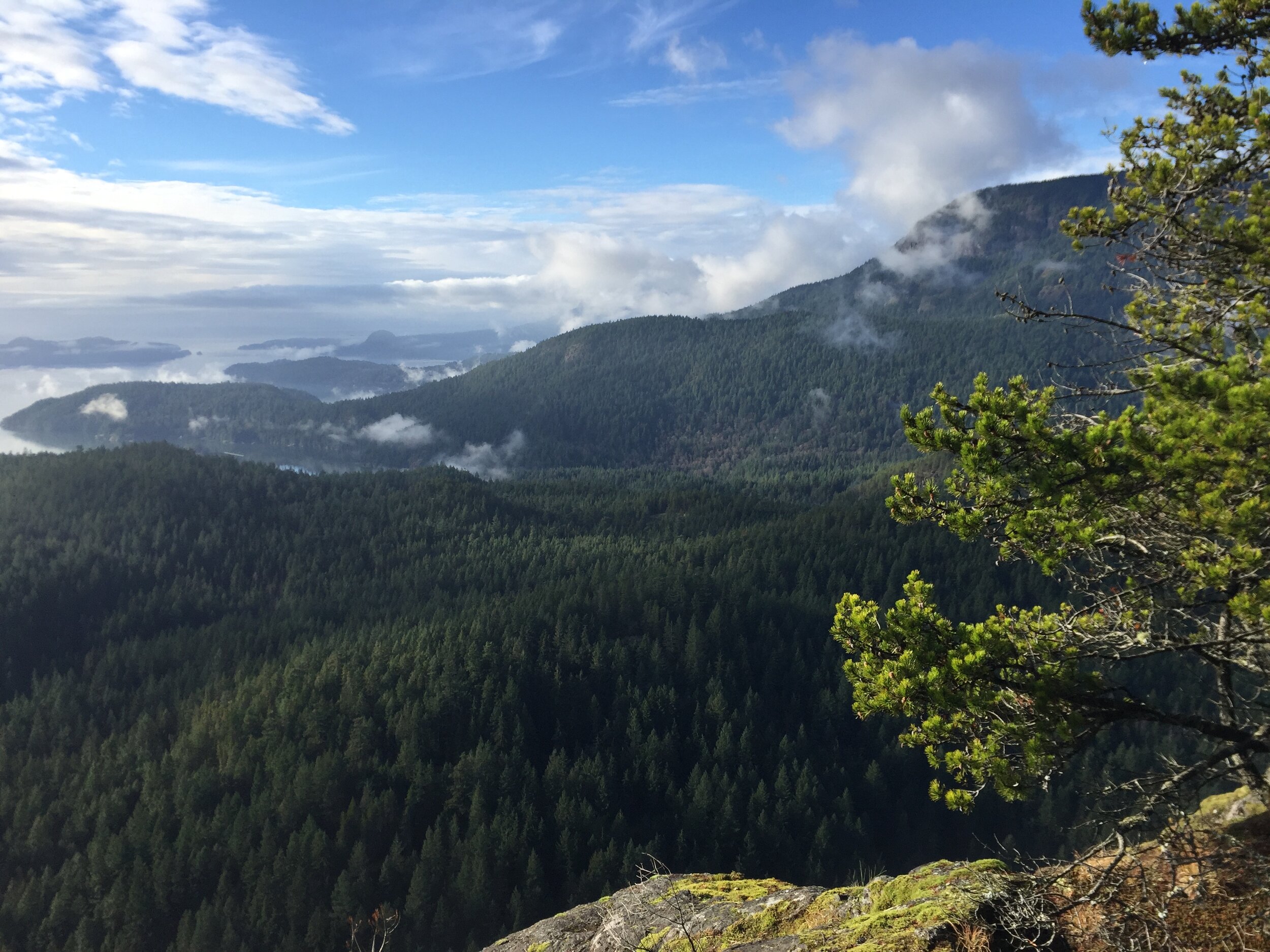 Gambier Island Conservancy