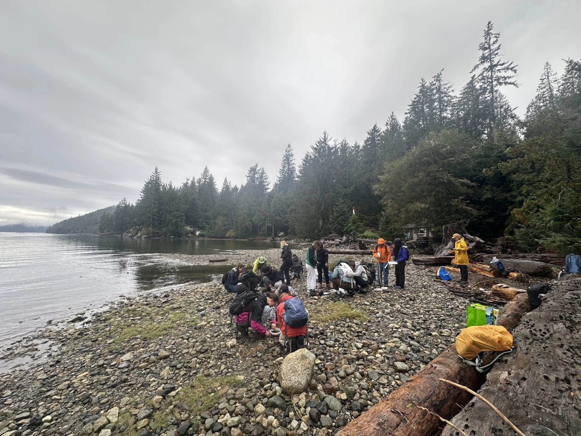 Gambier Island Streamkeeping