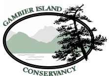 Annual General Meeting