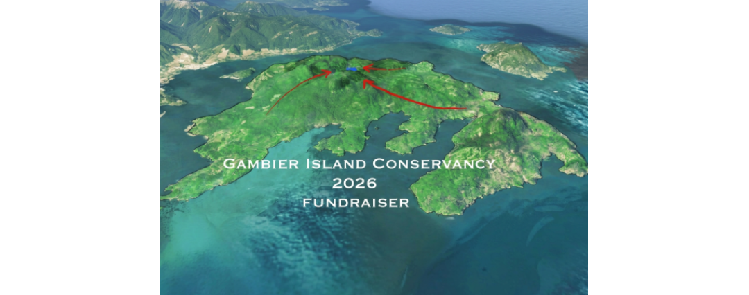 Trek to Gambier Lake
