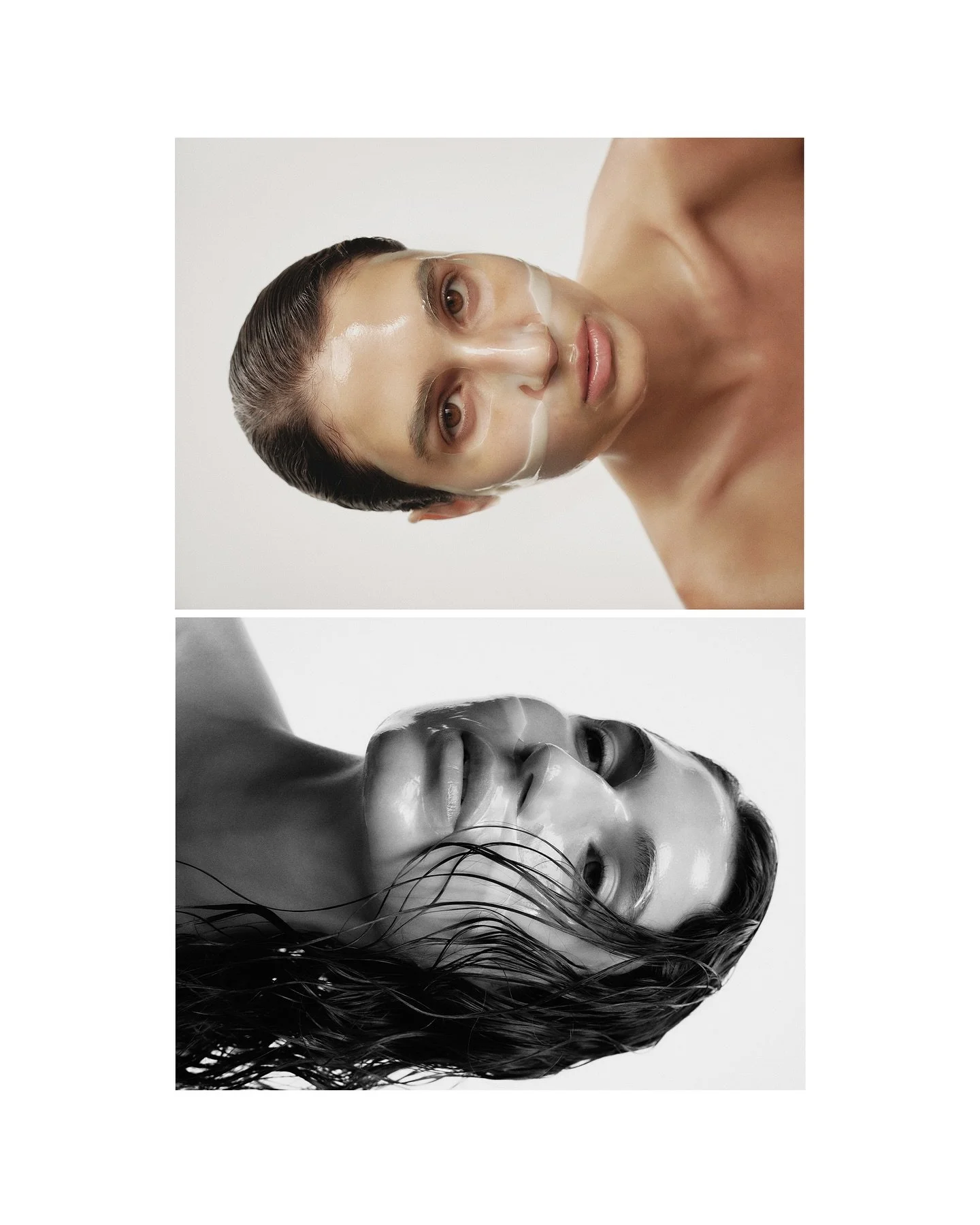 [image] - 7516633.jpeg