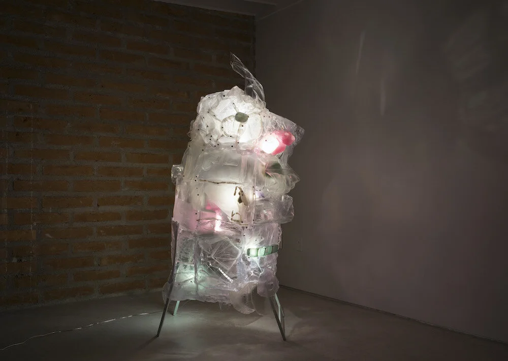 Sara_Hubbs_02 copy 1000px.jpeg