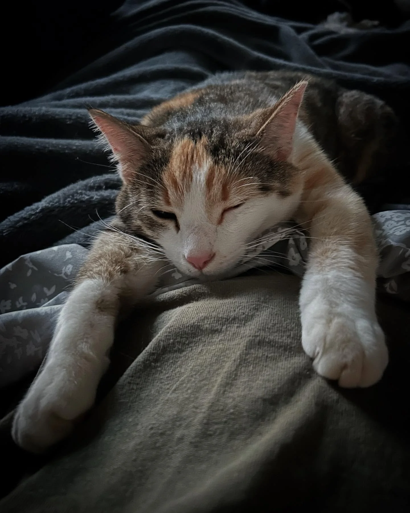 Relaxing after a full day of mousin&rsquo;