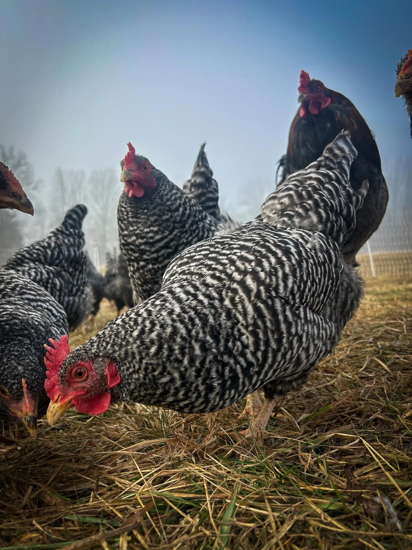 Rise &amp; shine ☀️