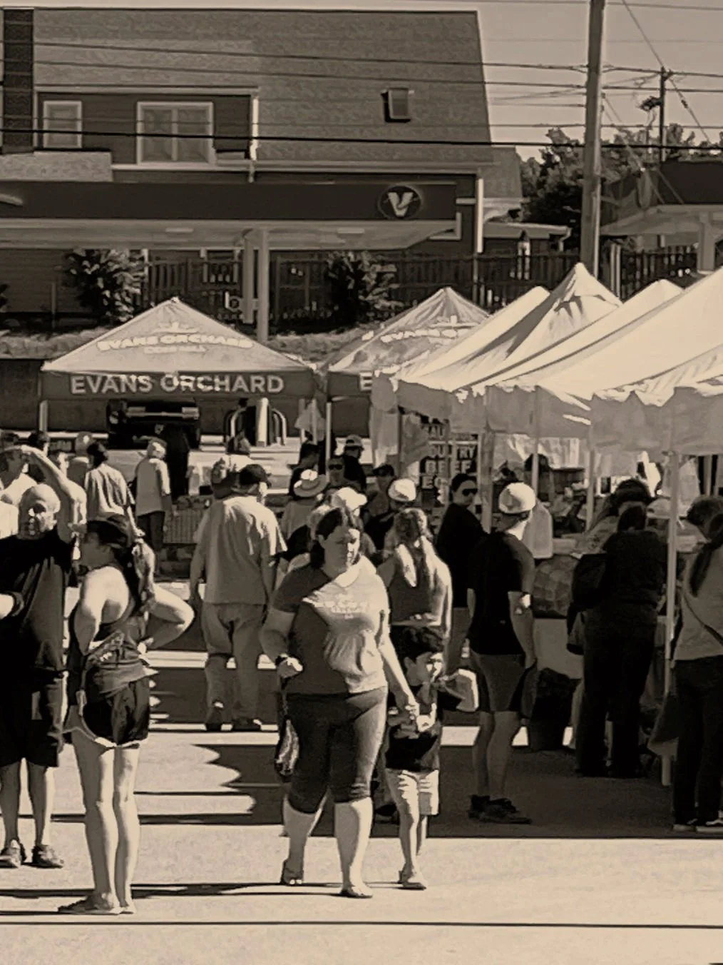 A crowded outdoor market or event with white tents, including one labeled 'EVANS ORCHARD,' and people walking and shopping.