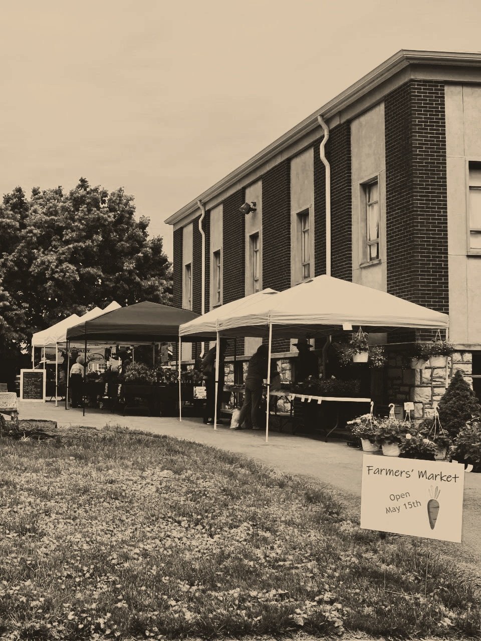 Black-and-white photo of a farmers' market outside a brick building, with tents and vendors selling produce. A sign indicates the market opens on May 15th.