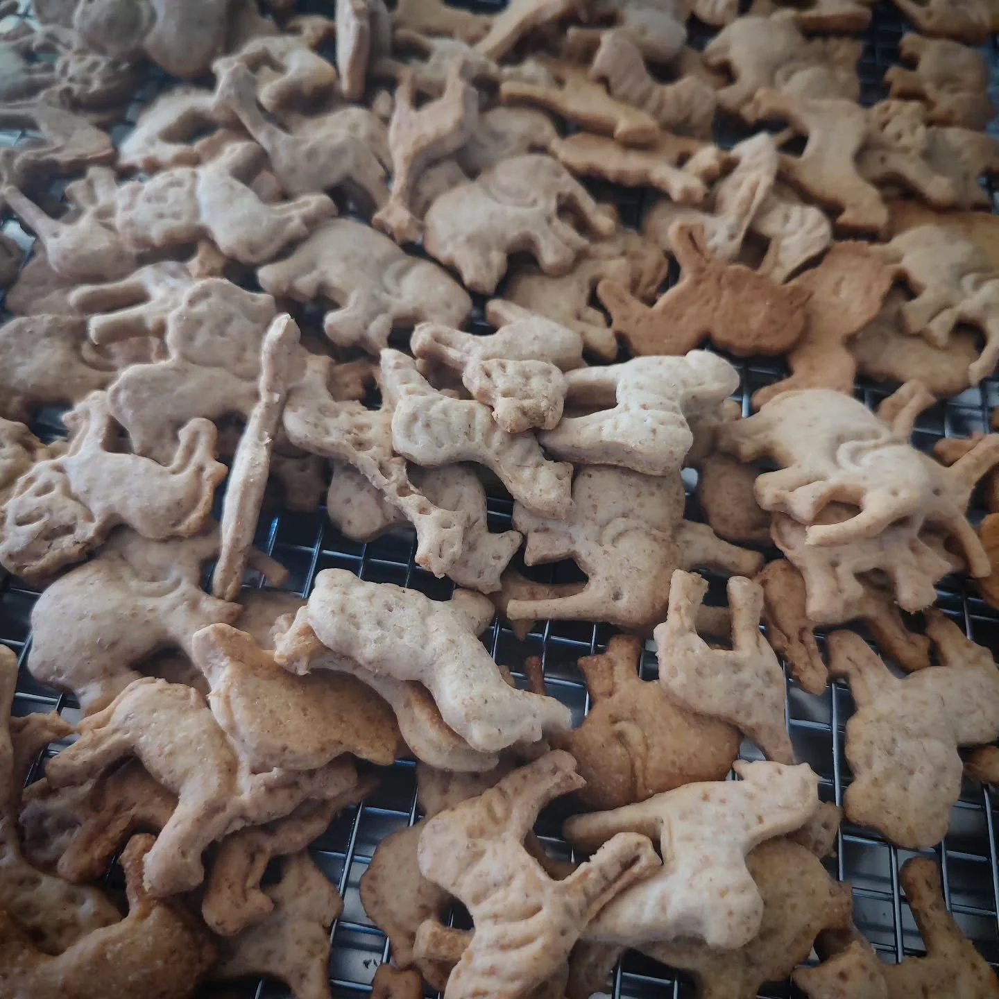 Back to School Snacks! We have been loving these Sourdough Animal Crackers for summer outings, but now they double as lunchbox surprises, car ride entertainment, and after-school bites to satiate the munchies. 🏁 We hand-roll and hand-stamp every cra