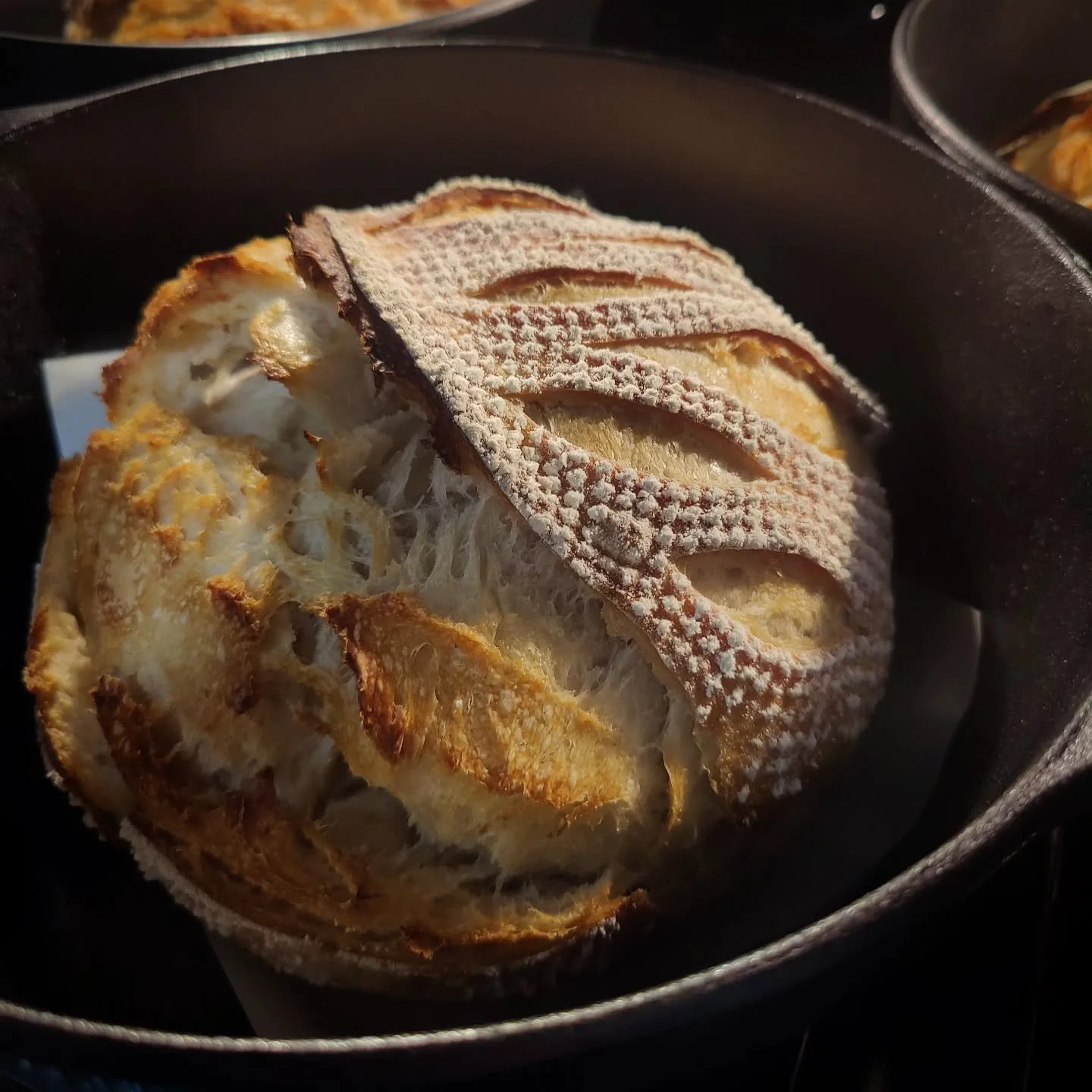 Find us with Sourdough Artisan Rounds this weekend at the @mansfieldfarmandcottagemarket! School is back in session, which comes with busy scheduling and many emotions. Take a minute to relax, get outside, and stock your pantry with healthy, local go