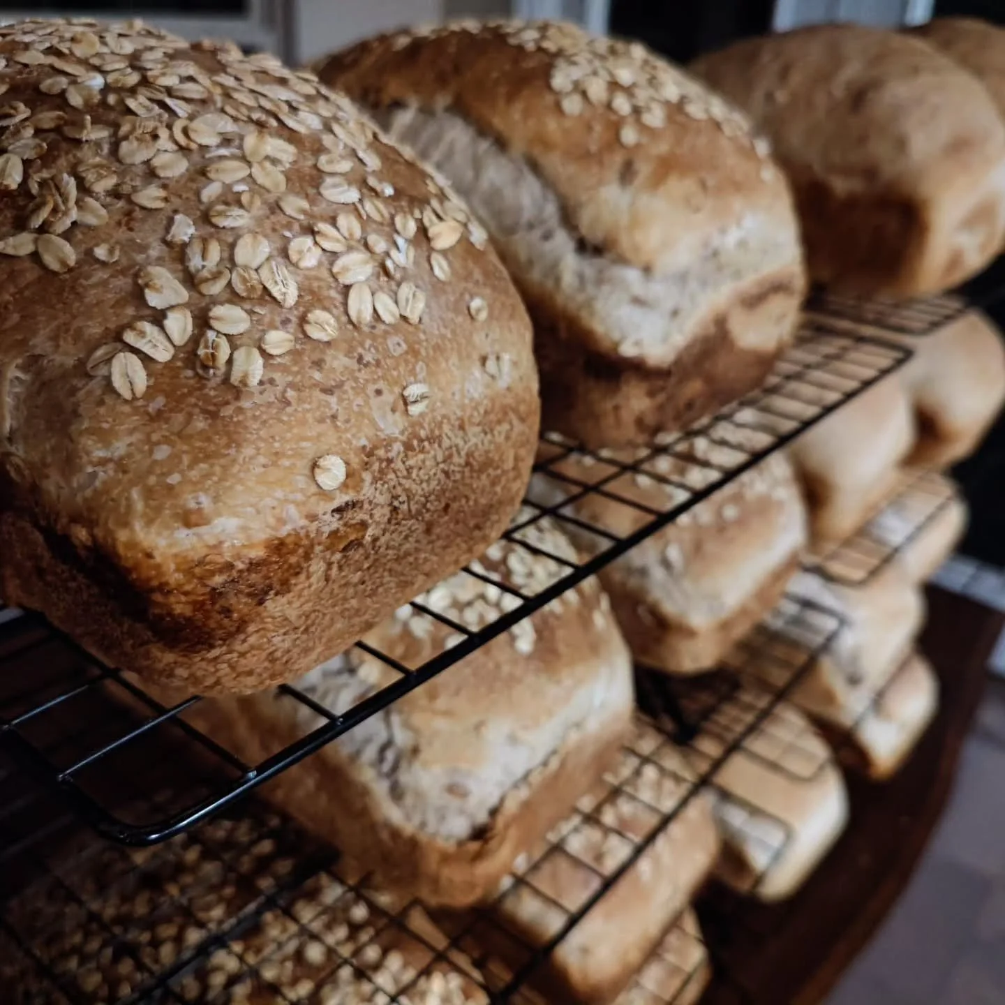 Multigrain Sourdough Sandwich Loaf

#lucysbreadery #homebaking #supportlocal #sourdough #sourdoughbread #artisan #vegan #veganfood #breadmaking #breadporn #breadbaking #healthypleasure #guiltypleasure #kingarthurflour #kingarthurbaking #breadhead #df