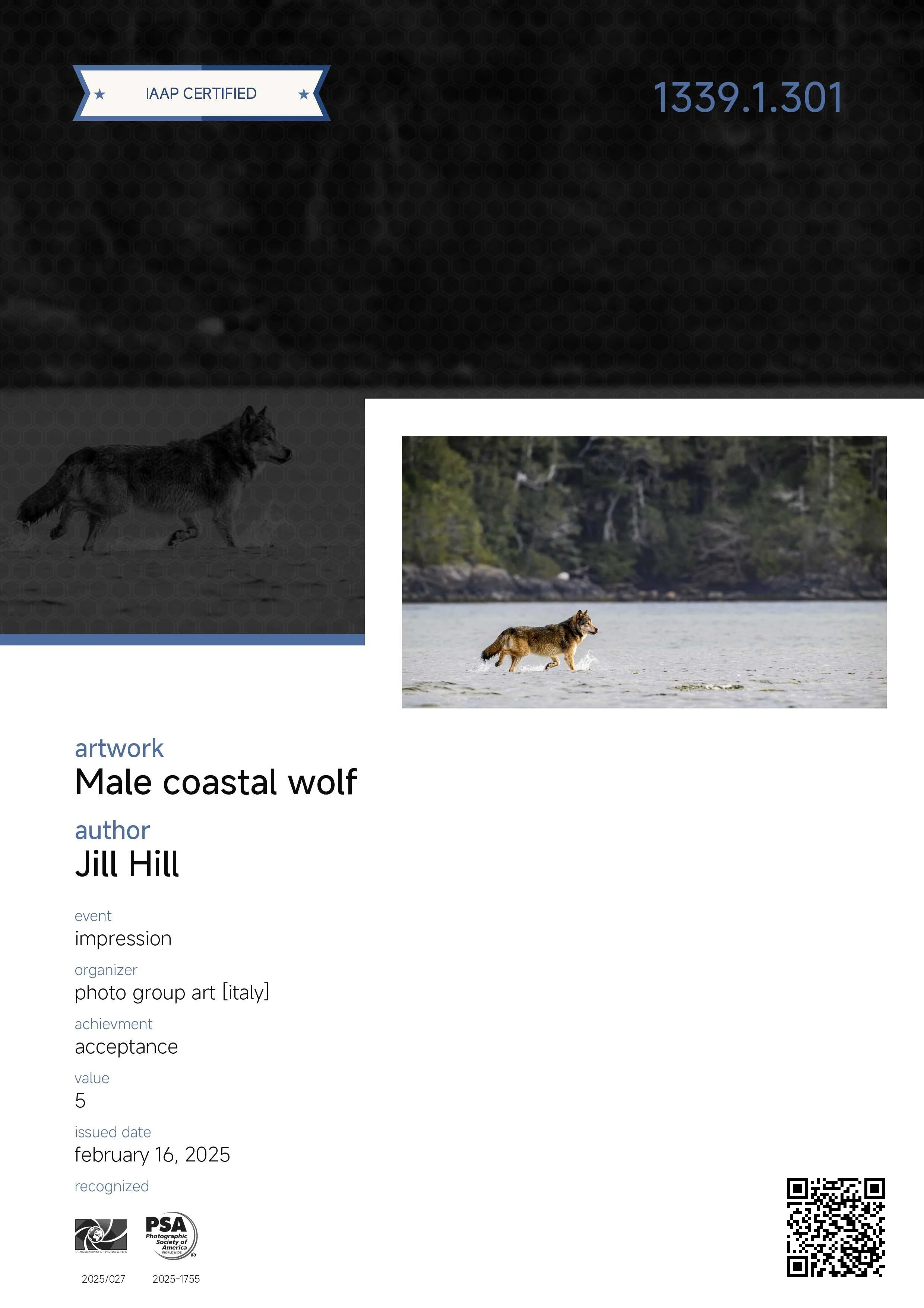 Jill Hill (USA) - Male Coastal Wolf [F2].jpg