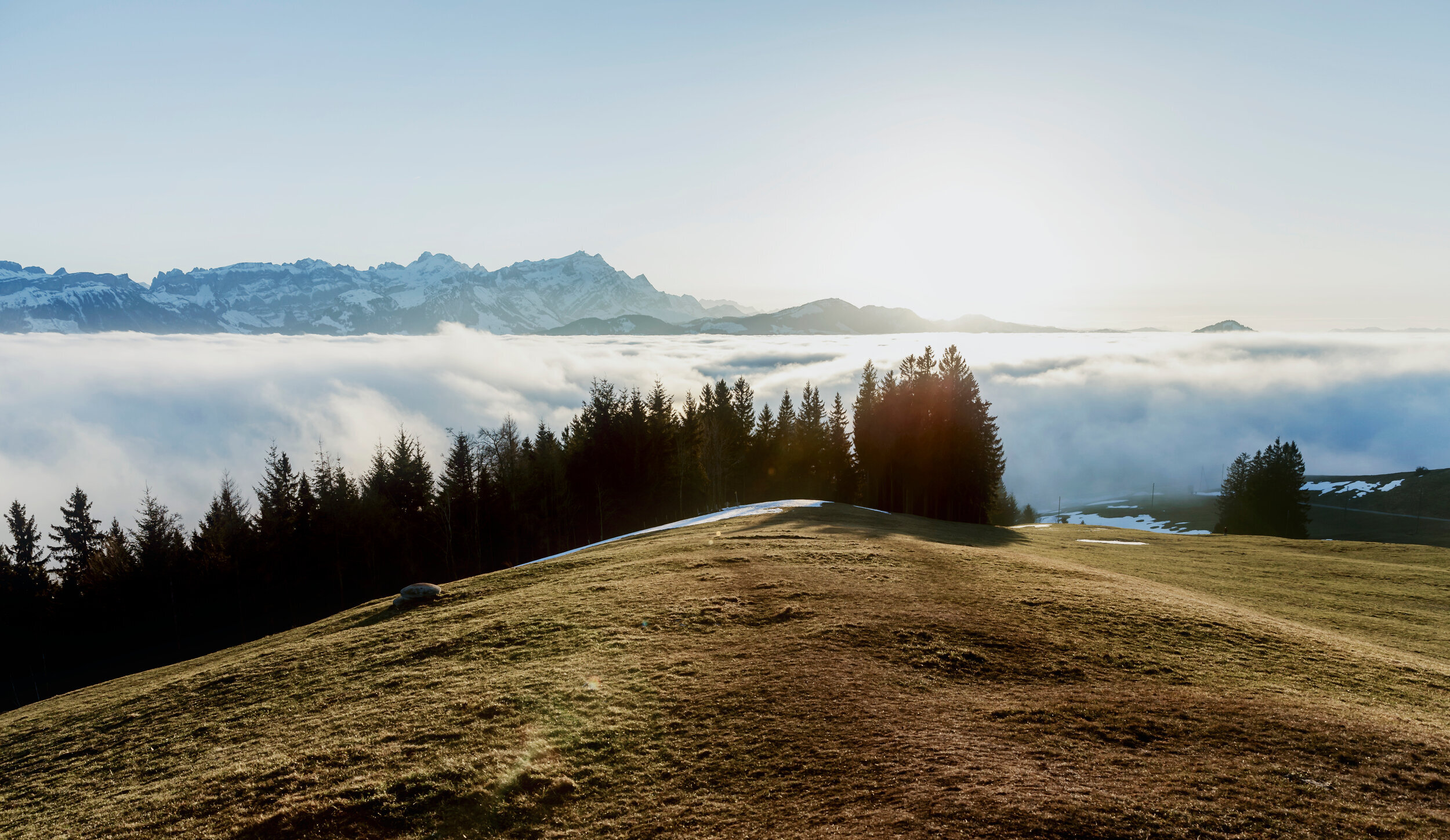 Our Dreams: What if They Are God’s Prayers to Us and For Us?