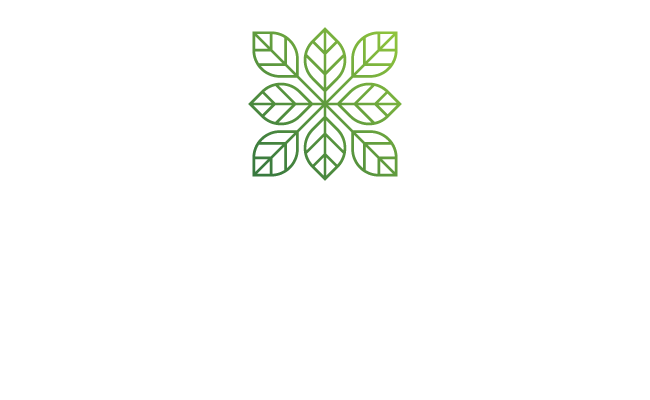 Boom Lab Fitness