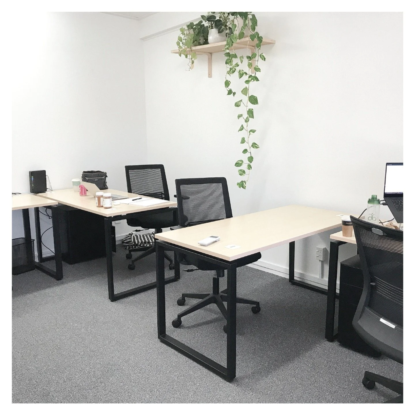 Looking for a space to work? Our Shared Office offers flexibility and a space to be productive. Perfect for freelancers and remote workers. Book at thecommon-room.co.nz/book.