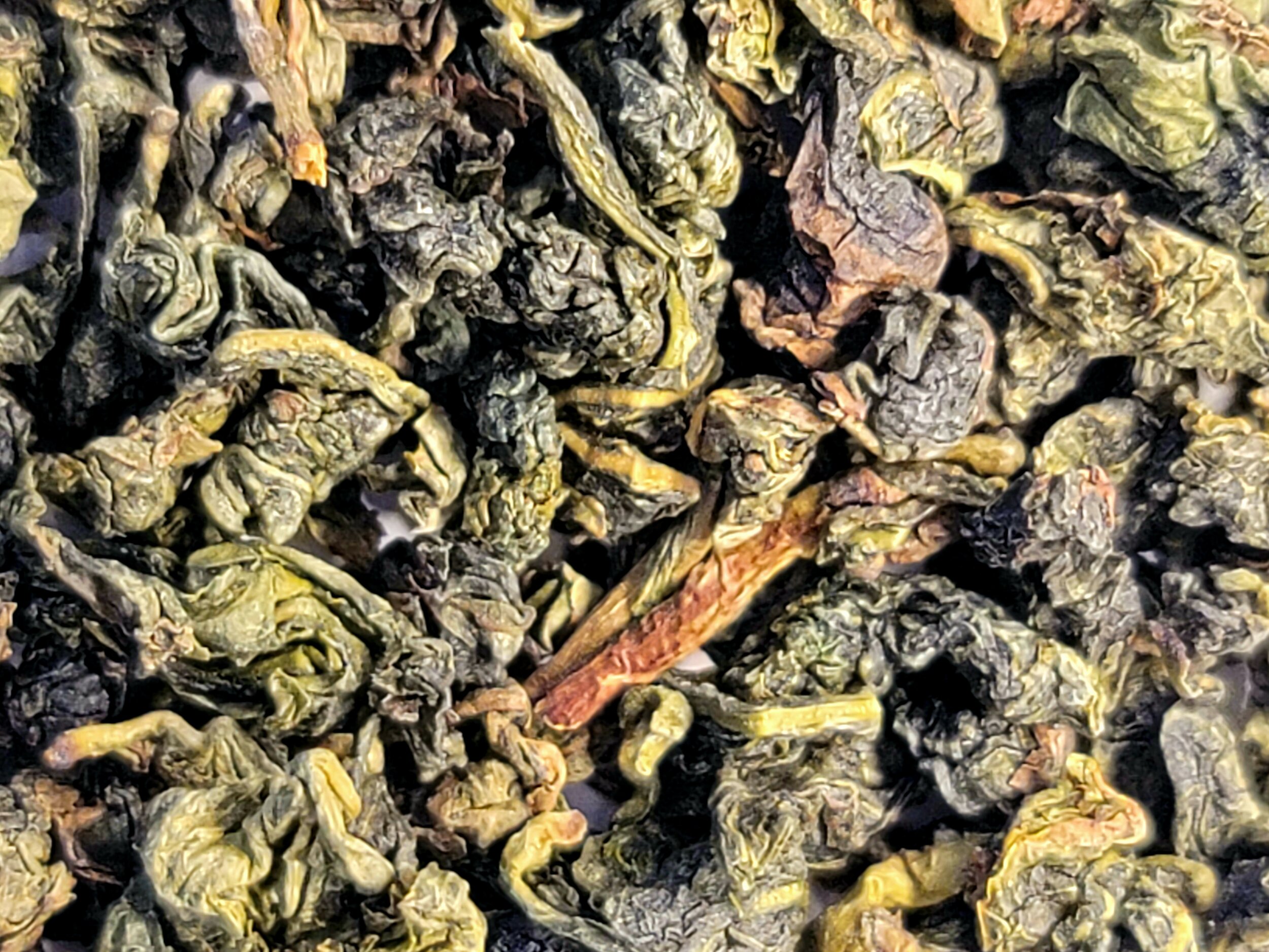 Gf oolong.jpg