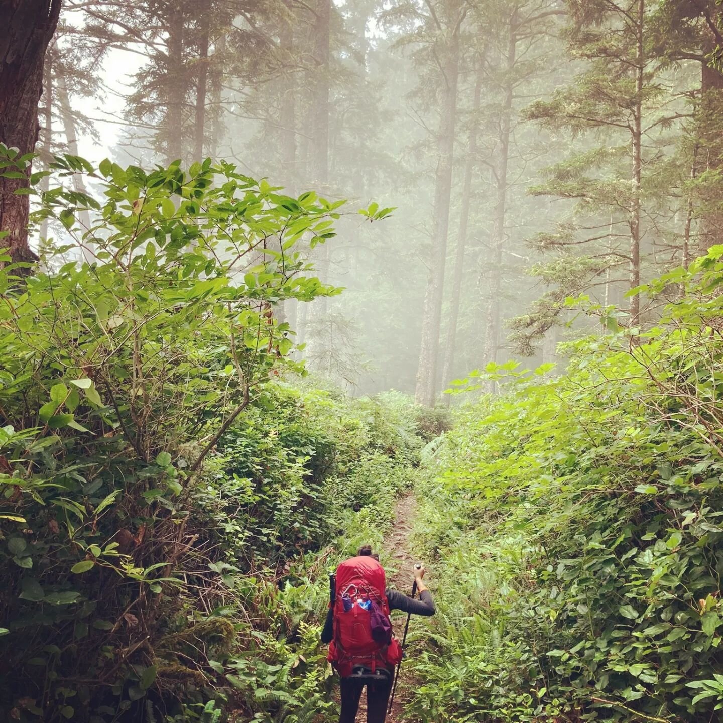 | West Coast Trail 🍄
Thank you to the keepers of this land, Pacheedaht, Ditidaht, Huu-ay-aht, and Nuu-chah-nulth
nations.
One way to save Earth:
1. Fall in love with it, the way you love your caregiver.
2. Take care of it, the way you do to peo