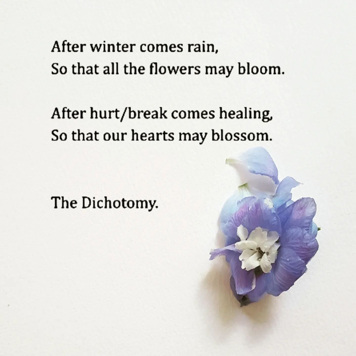 |The Dichotomy.

A reminder to be kind to yourself. You will feel better; you will find joy again. We only know and feel joy because we experience hurt and break. Healing is hard, and self-care requires intention. Happy Sunday :)

#healing #loveyours