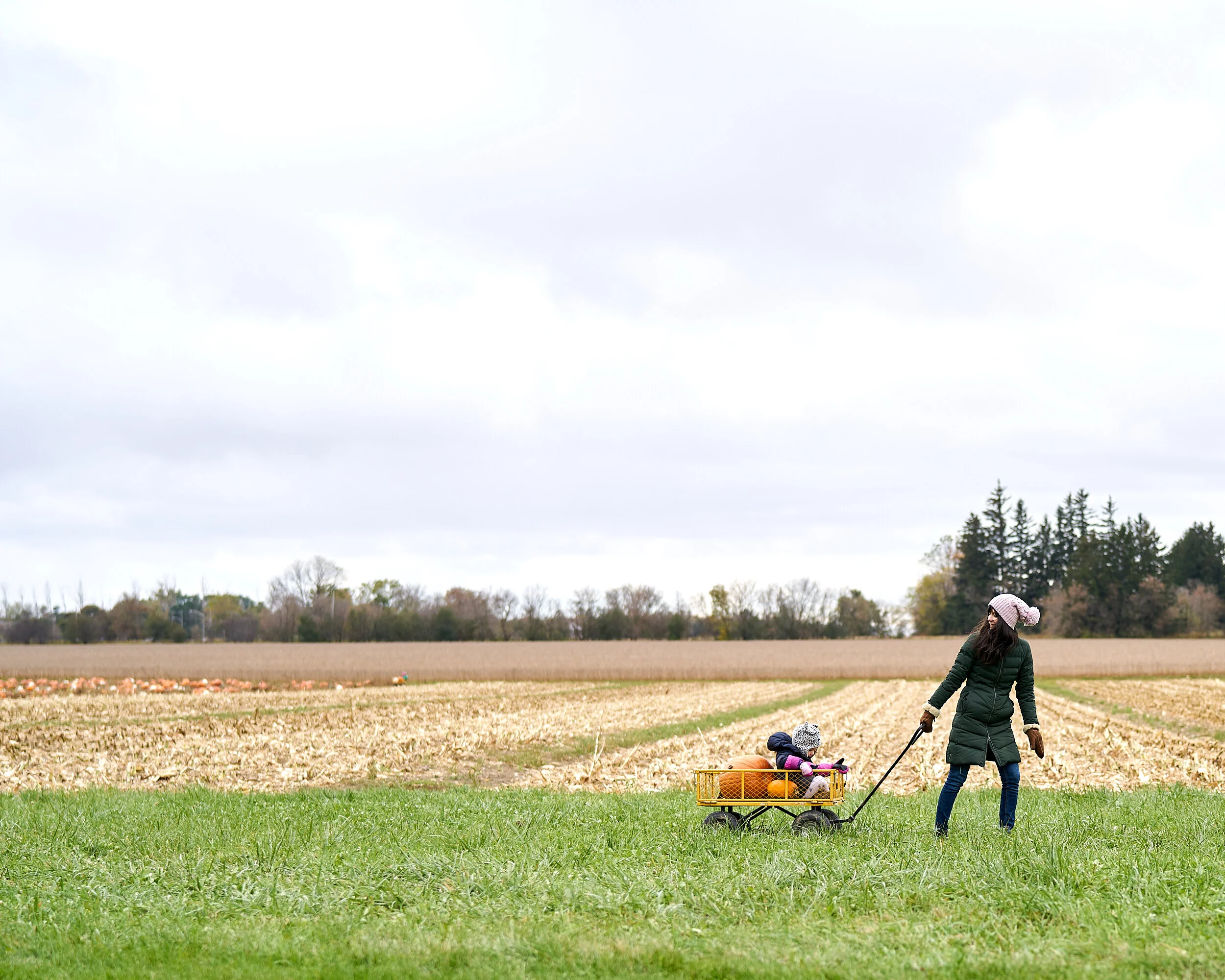 PumpkinPatch-Oct 21 2018_DSC01263-2500px_Web.jpg