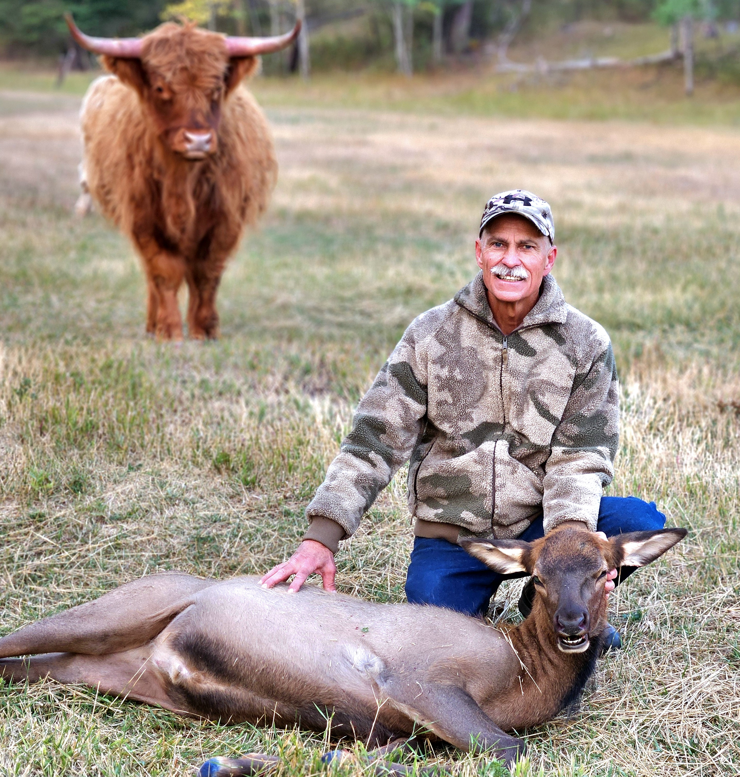 A man kneeling next to a fallen moose in a grassy field, with a young elk resting its head on the moose, a bison in the background, and trees in the distance.
