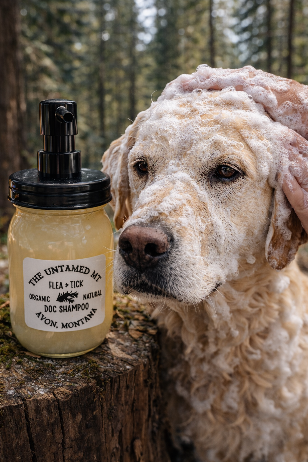 flea and tick shampoo with dog.png