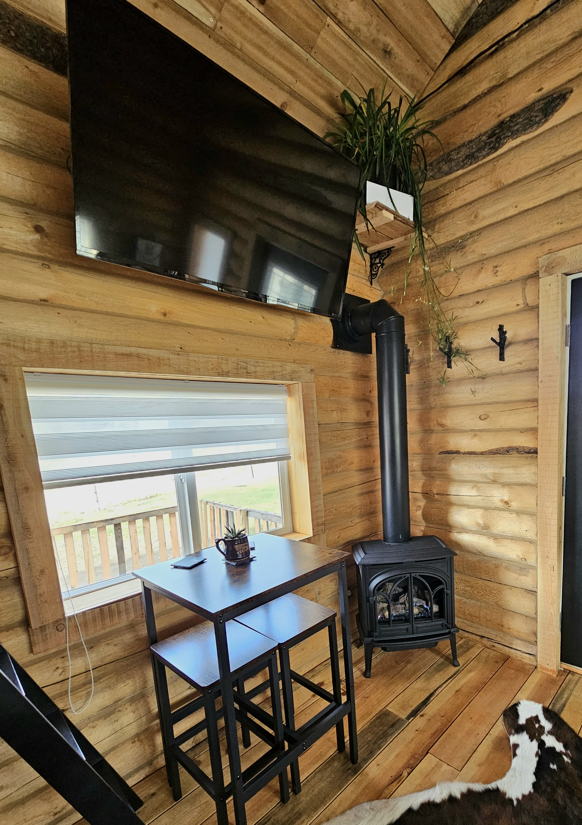 Wood-paneled interior with a mounted flat-screen TV, a window with a blind, a small table with a potted plant, and a black wood stove with a pipe. A cowhide rug is partially visible at the bottom right corner.