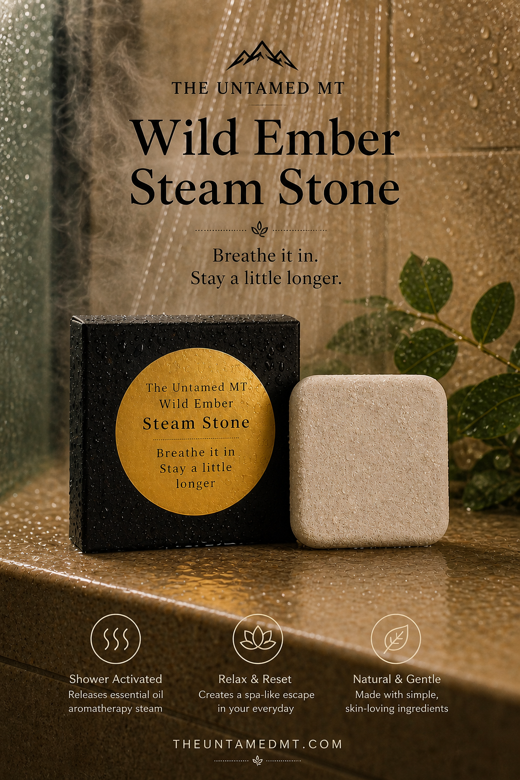 wild ember steam stone ad.png