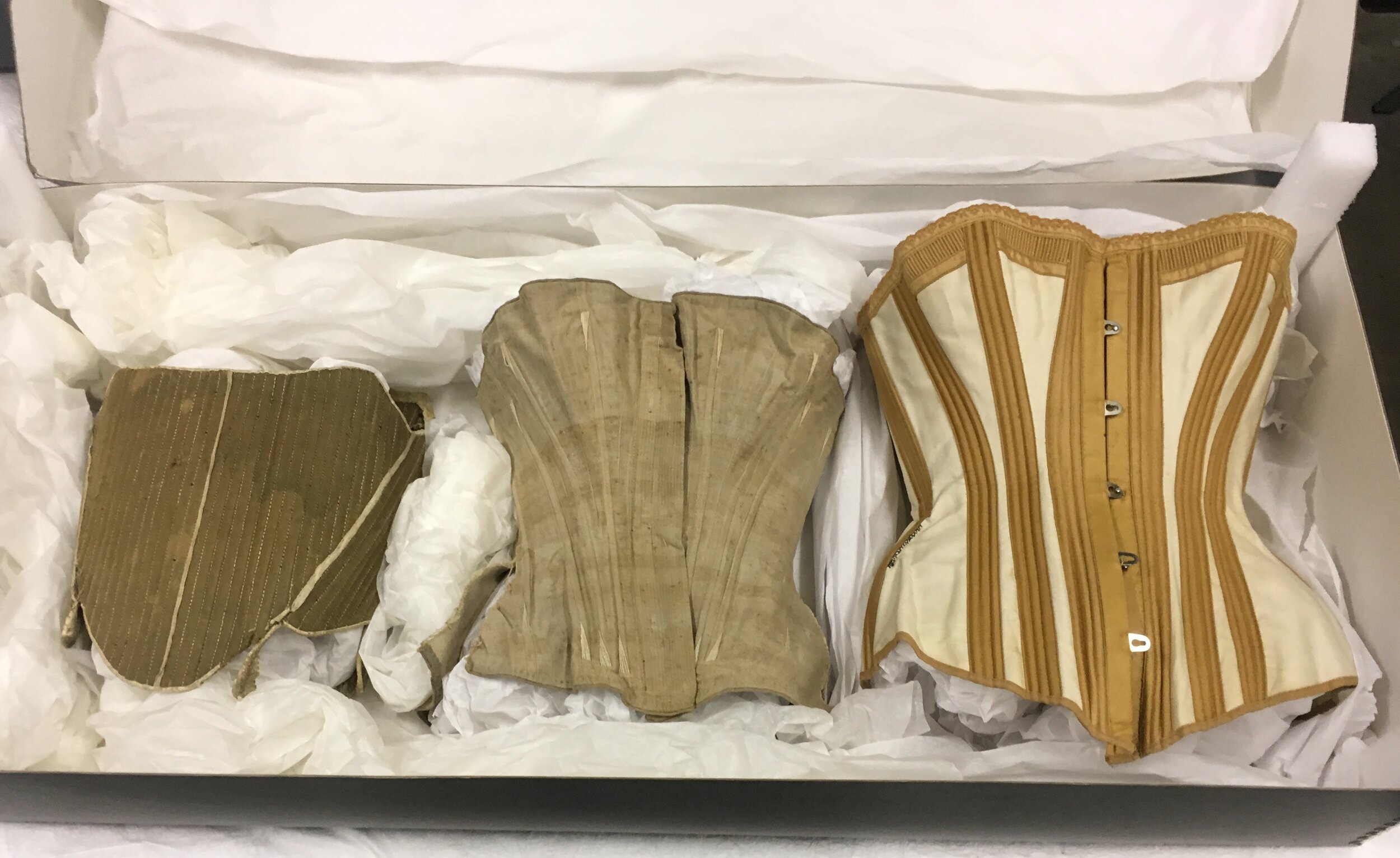 Corsets padded and stored in archival box at Nantucket Historical Association