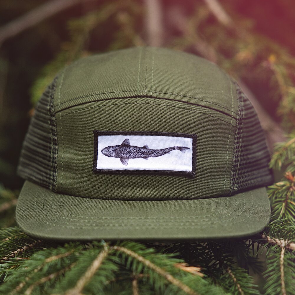 Brown Trout Hat — Brittany Finch Art