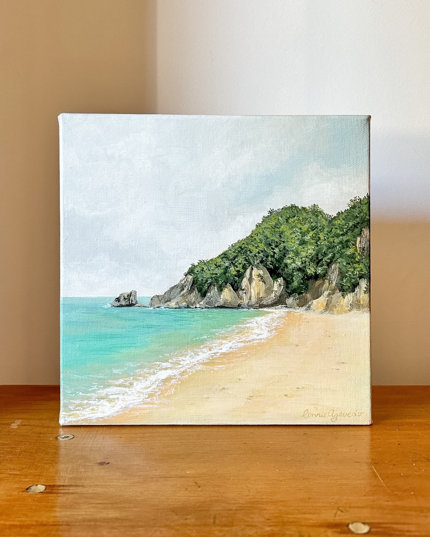 &lsquo;A secluded haven&rsquo; ✨
Acrylic, 8x8in. 

Inspired by a gorgeous little island in the Marlborough Sounds. The perfect place for a picnic, a restful little sanctuary. 

Available at Art in the Park Greymouth April 27-28. 

#beautifulbeaches #