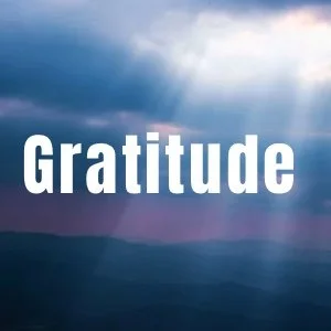 Gratitude Everyday