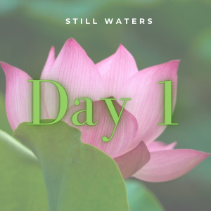 Day 1 - Stillness
