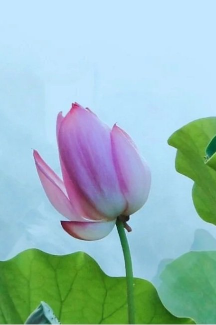 Day 3 - Isaiah 40:31