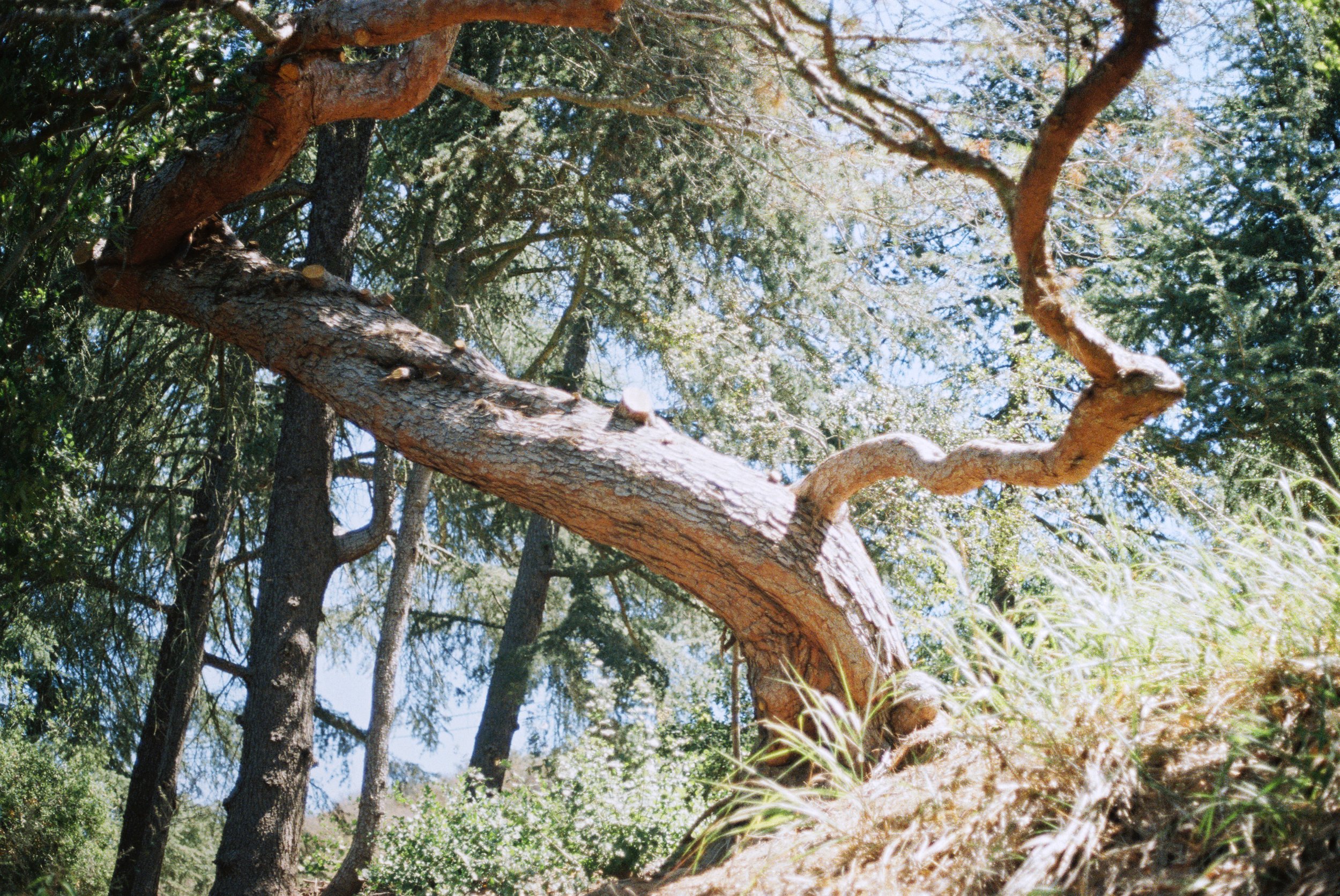 Copia de 3008241-R1-040-18A.jpg