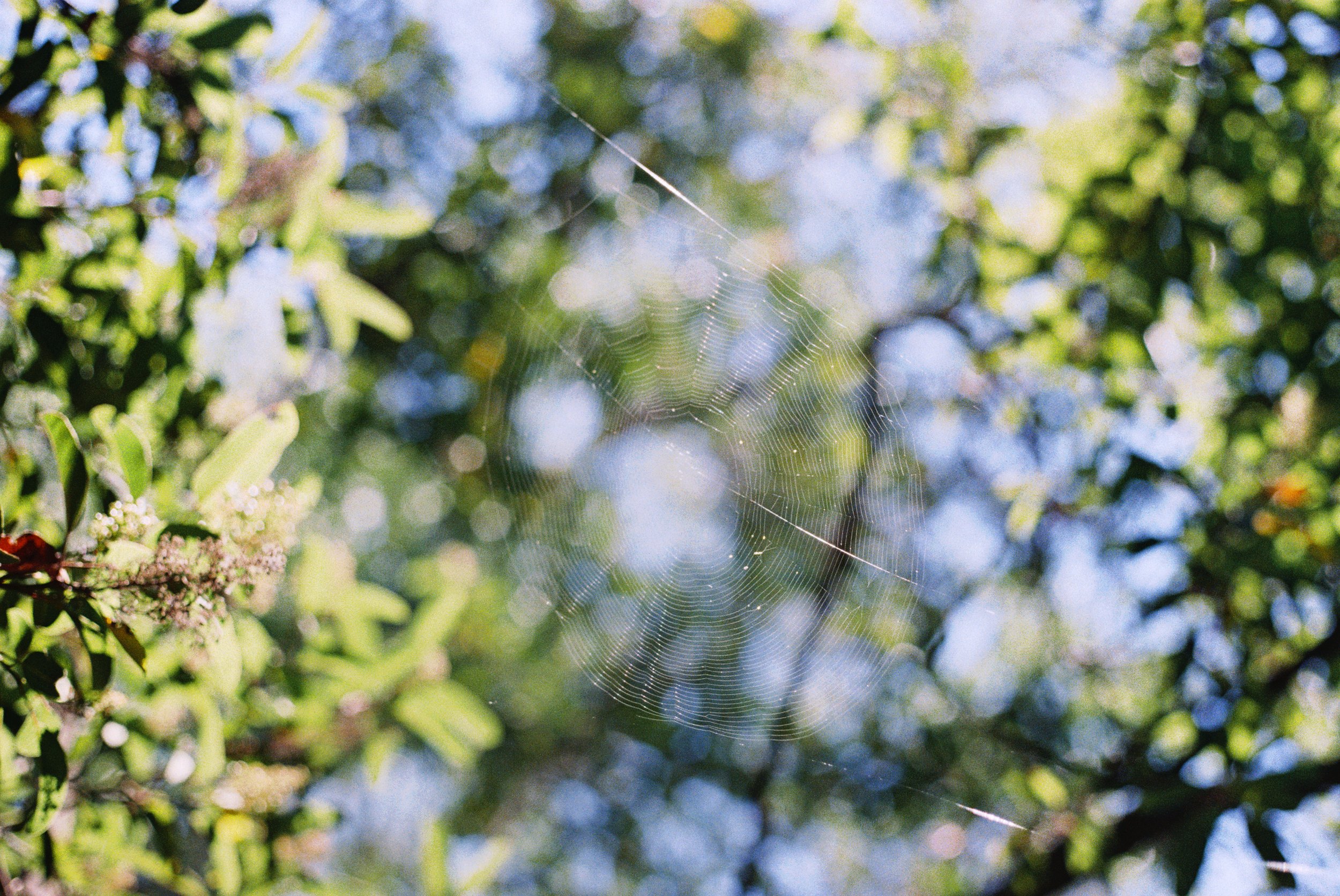 Copia de 3008241-R1-030-13A.jpg