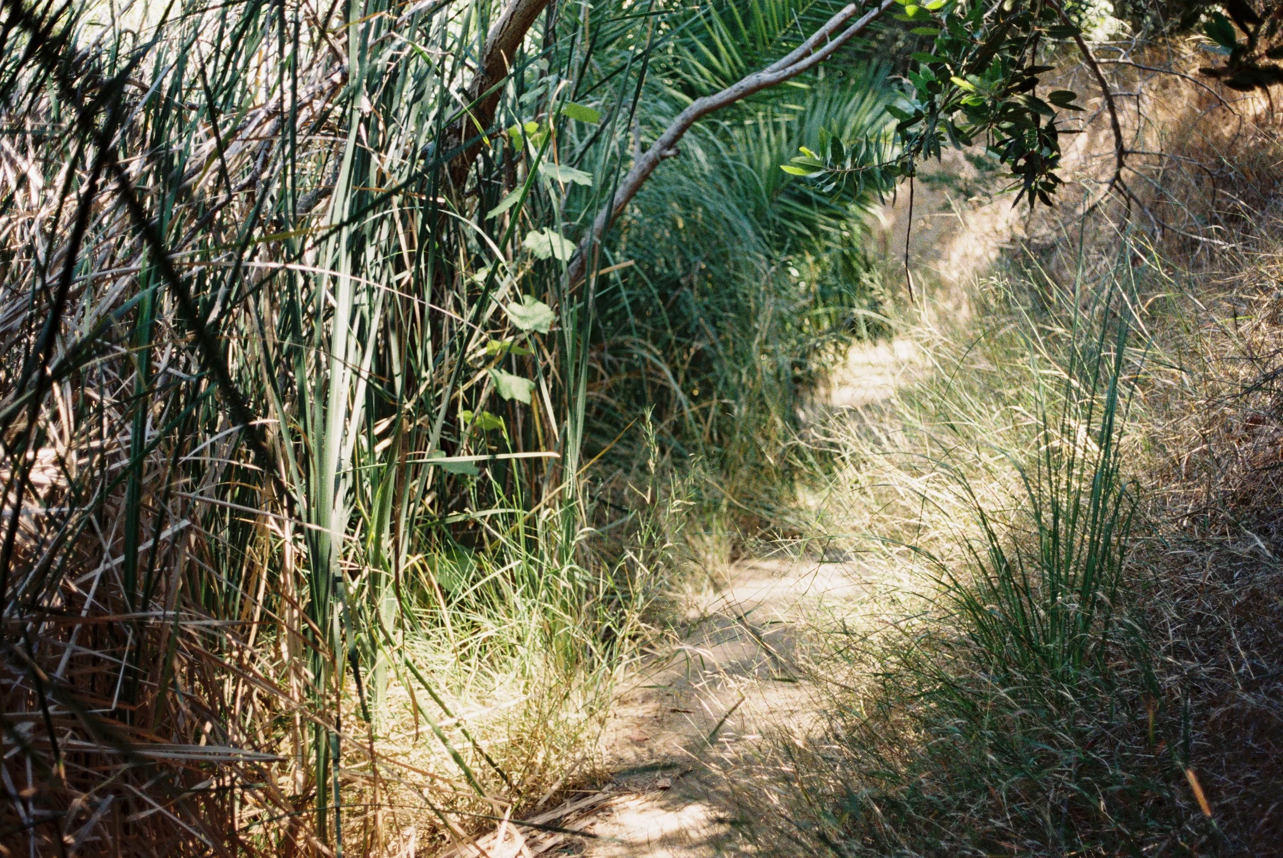 Copia de 3008241-R1-042-19A.jpg